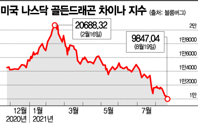 한달새 1180조원 증발…中 원정개미의 비명