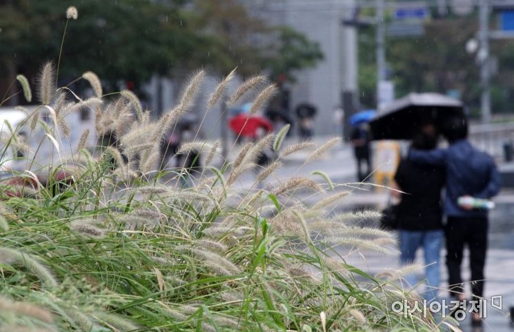 절기상 '처서'이자 제12호 태풍 '오마이스'의 영향으로 비가 내린 23일 서울 광화문 거리에서 시민들이 우산을 쓴 채 발걸음을 재촉하고 있다./김현민 기자 kimhyun81@