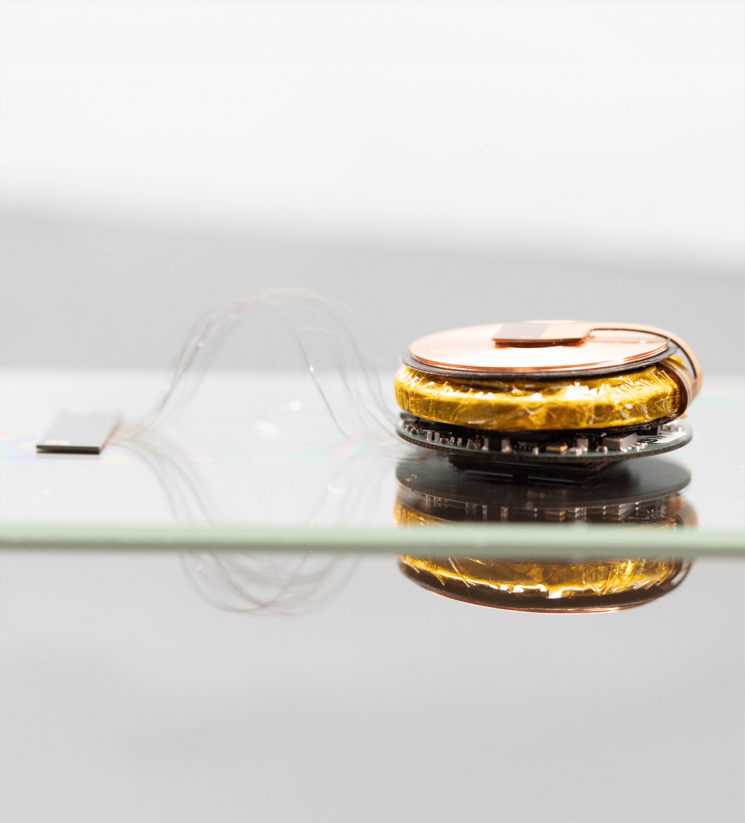 뇌과학 시대, 사지마비 환자가 벌떡 일어난다[과학을읽다] 