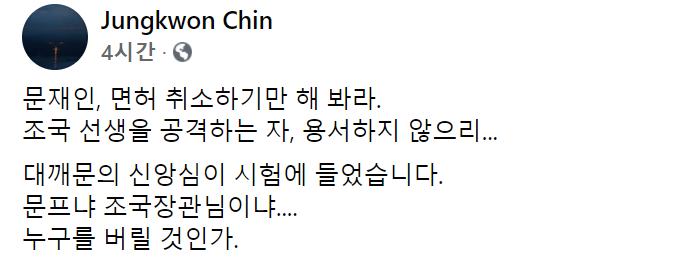사진=진 전 교수 페이스북 캡처
