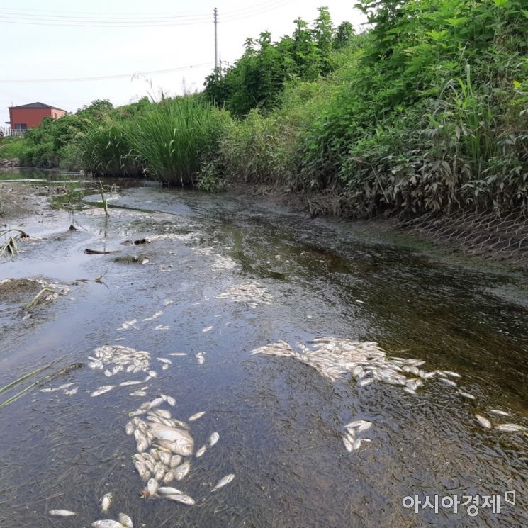 사진 자료 [아시아경제 DB]