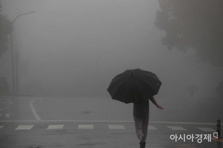 비구름이 드리워진 남산에서 우산을 쓴 시민이 산책하고 있다. /문호남 기자 munonam@