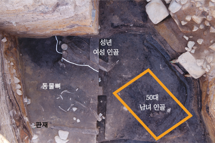 경주 월성 인골은 신라 성벽 제사 희생물