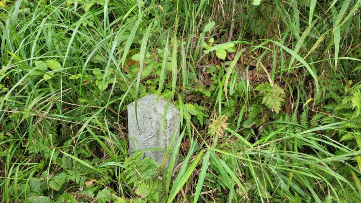 [2021 무연고사 리포트] 버려진 511기의 묘지, 발길 끊긴 무연분묘