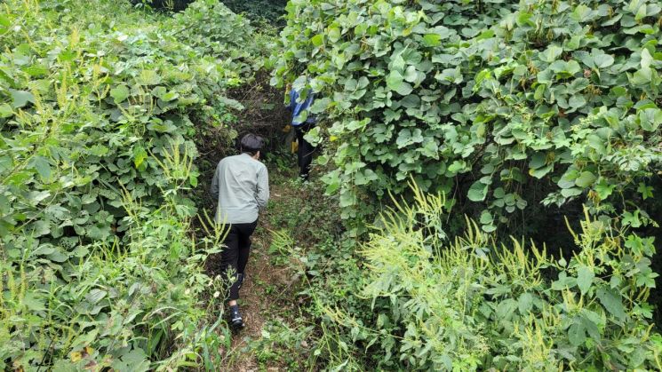 [2021 무연고사 리포트] 버려진 511기의 묘지, 발길 끊긴 무연분묘