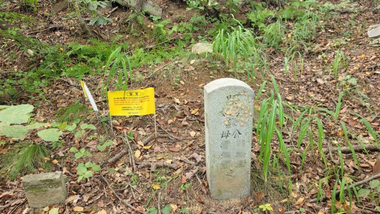 [2021 무연고사 리포트] 버려진 511기의 묘지, 발길 끊긴 무연분묘