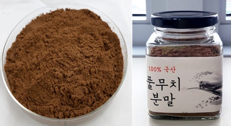 식약처 "풀무치 열번째 식용곤충으로 인정…선식 등 식품에 활용"