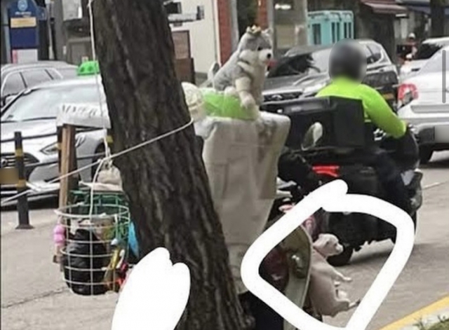 강아지를 이륜차에 매달아 주행하는 모습이 담긴 사진이 공개돼 누리꾼들의 공분을 자아내고 있다. 사진='케어' 인스타그램 화면 캡처.