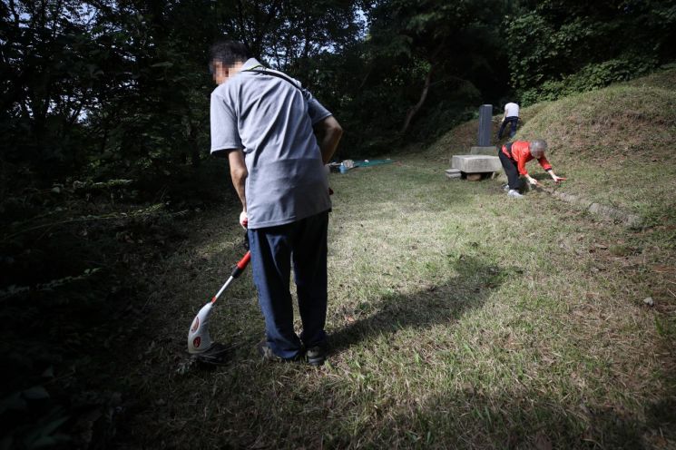 추석 벌초·성묘 때 '벌·뱀·진드기' 주의해야
