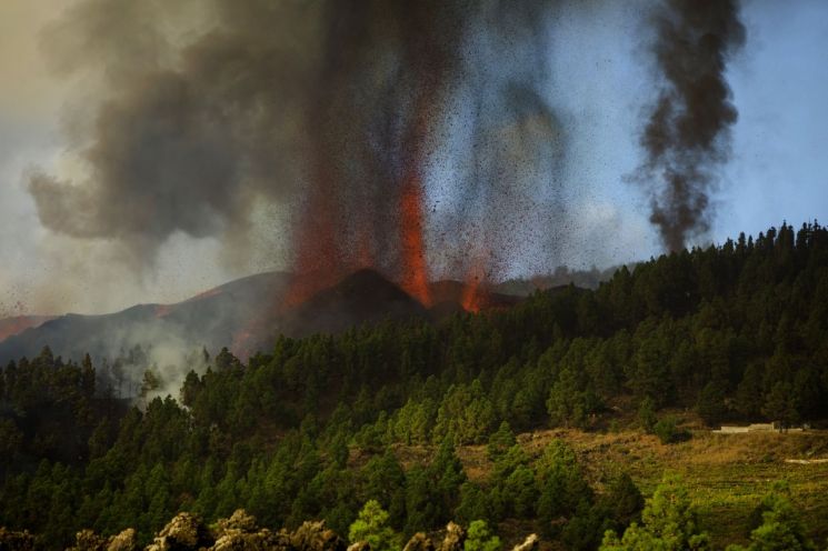카나리아제도 라팔마섬 50년 만에 화산 폭발
