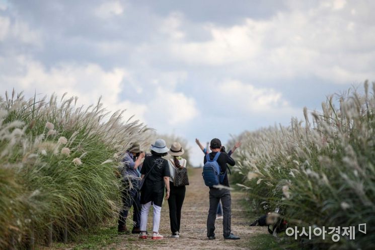 [포토]연휴 막바지 하늘공원 찾은 시민들