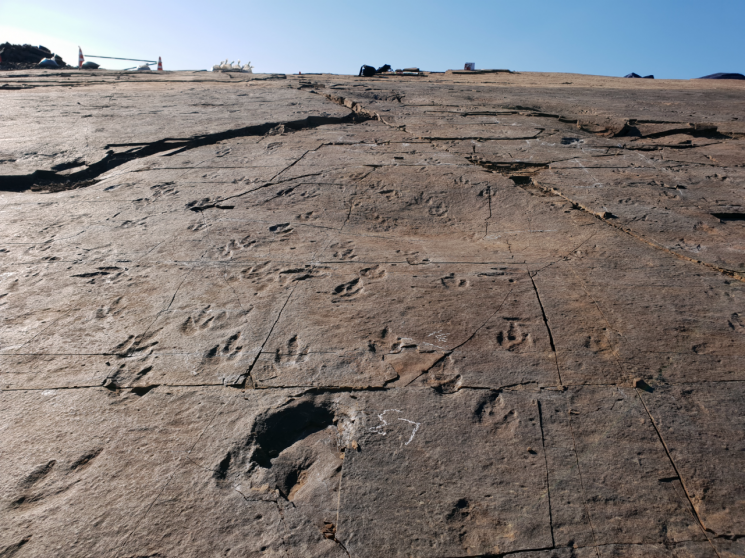 경남 진주 정촌면 공룡·익룡 발자국 화석 산지 … 천연기념물 지정 확정