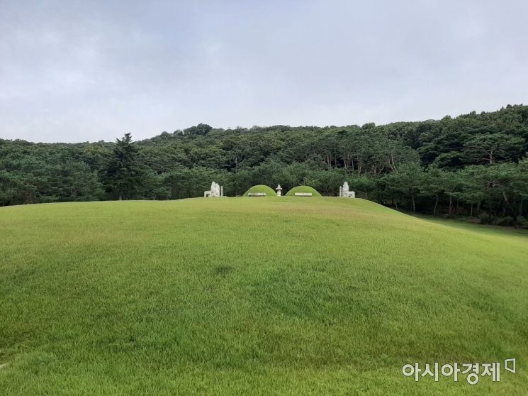 향로를 지나 제향공간에서 위로 올려다 본 능의 모습. / 사진=임주형 기자 skepped@