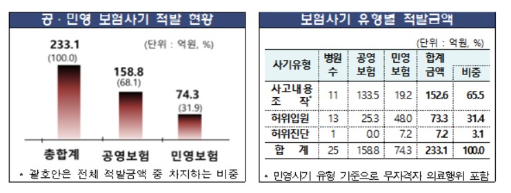 보험사기 공동조사로 25개 의료기관서 233억원 적발