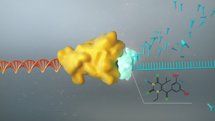 역전사 효소 기능 막는 에이즈 치료제 역할 모사도. 그림 출처=한국화학연구원
