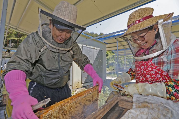 Honey Harvesting Site at a Beekeeping Farm <br>[Image Source=Sancheong-gun]