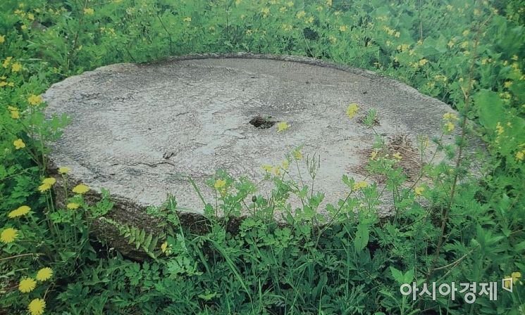 독립운동가와 그 가족들이 생활했던 소고령지 고려구 집터에 남아있는 직경 150cm의 연자매 [윤희순기념사업회]