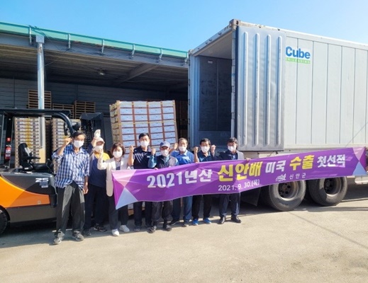 신안군, 1004섬 명품 ‘신안배’ 미국 수출길 올라