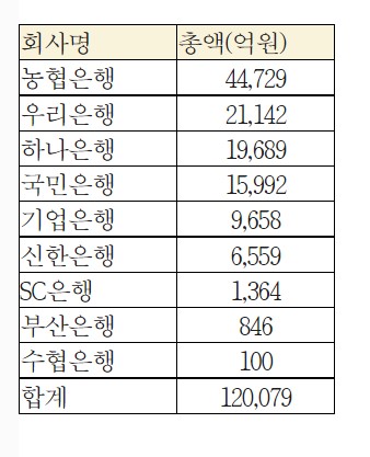 국내 은행의 석유,천연가스 투자현황