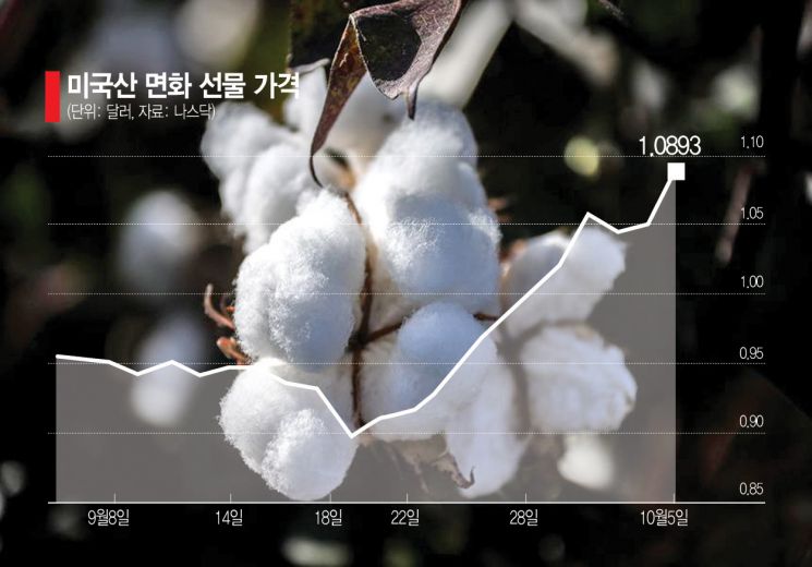 IMF 총재 "세계 경제, 신발에 돌 3개 넣고 걷고 있다"