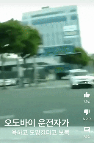 차량 운전자가 인도까지 오토바이를 뒤쫓아가 들이받는 영상. / 사진=인터넷 커뮤니티