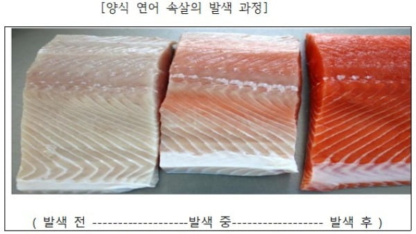 연어 착색과정 비교. /사진=윤재갑 의원실 제공