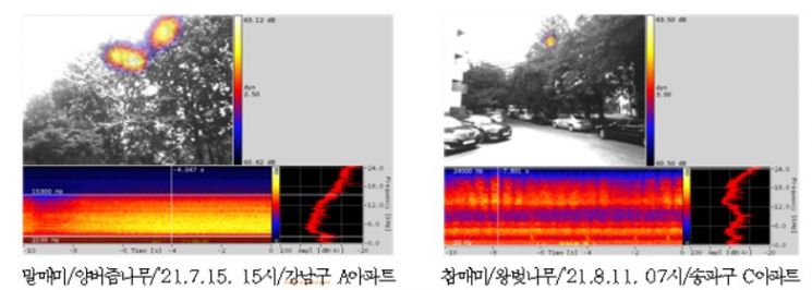 밝은 야간 조명 탓에 주택가 '매미' 더 크고 오래 운다