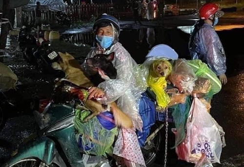 오토바이 한 대에 가족과 반려동물들이 함께 타 있는 베트남 한 일가족. / 사진=인터넷 홈페이지 캡처