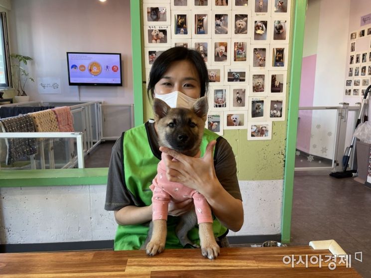 고은채 발라당 입양카페 매니저와 카페에서 보호 중인 유기견 애플이./사진=강주희 기자 kjh818@asiae.co.kr