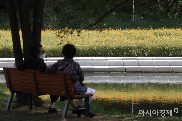 Autumn in the City... Waves of Cosmos Along Yangjaecheon Stream