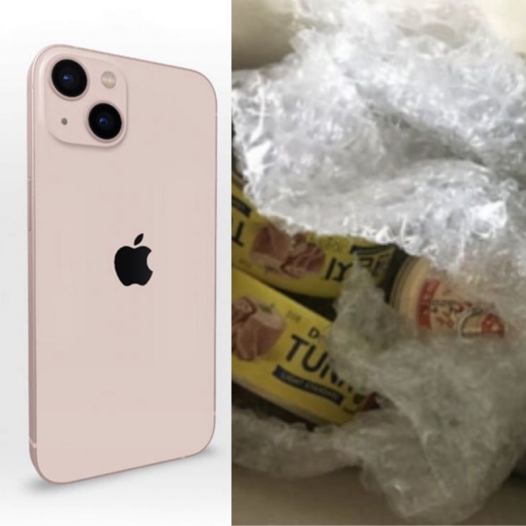 한 소비자가 온라인 쇼핑몰 쿠팡에서 주문한 아이폰 대신 참치캔을 받았다는 사연을 공개했다. [사진=애플 홈페이지/온라인커뮤니티 캡처]