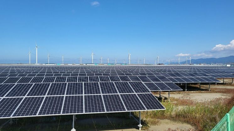 지난 14일 오전 찾은 전남 영광군 백수읍 염전마을, 염전부지 40만평 중 25만평에 태양광 발전소가 들어서 있다.