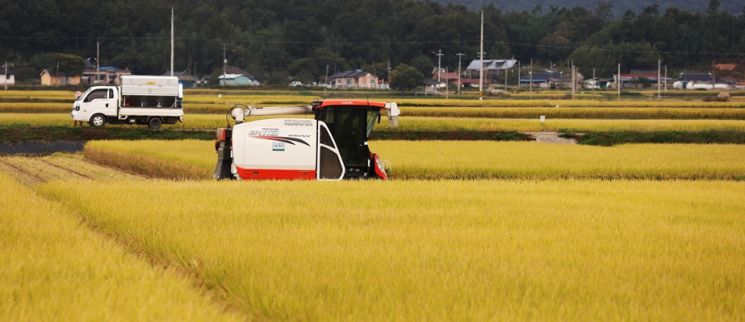[경제범죄24時]수확철 농민들 울린 납품 사기…농촌에 내려진 사기주의보