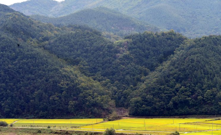 [조용준의 여행만리]삼강나루 옛이야기 안주 삼아 막걸리 한 잔 하겠소?