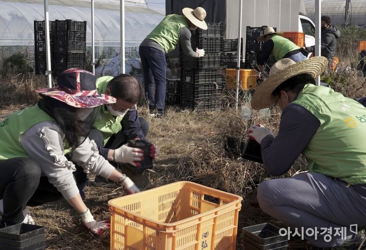 [포토] 농촌, 일손부족 해결에 나선 농협유통