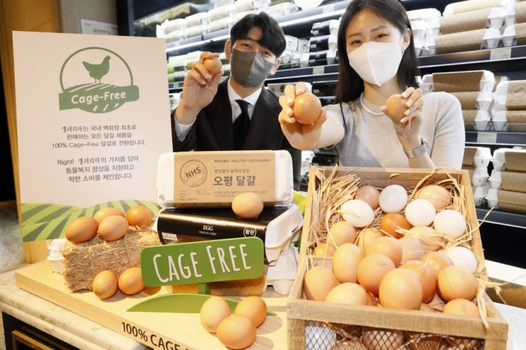 갤러리아백화점이 국내 백화점 중 최초로 식품관에서 판매하는 모든 계란을 케이지 프리(Cage-Free) 계란으로 전환한다고 21일 밝혔다. 갤러리아는 전날 명품관과 고메이494 한남을 시작으로 2023년까지 모든 사업장에 '100% 케이지 프리'를 적용할 예정이다.