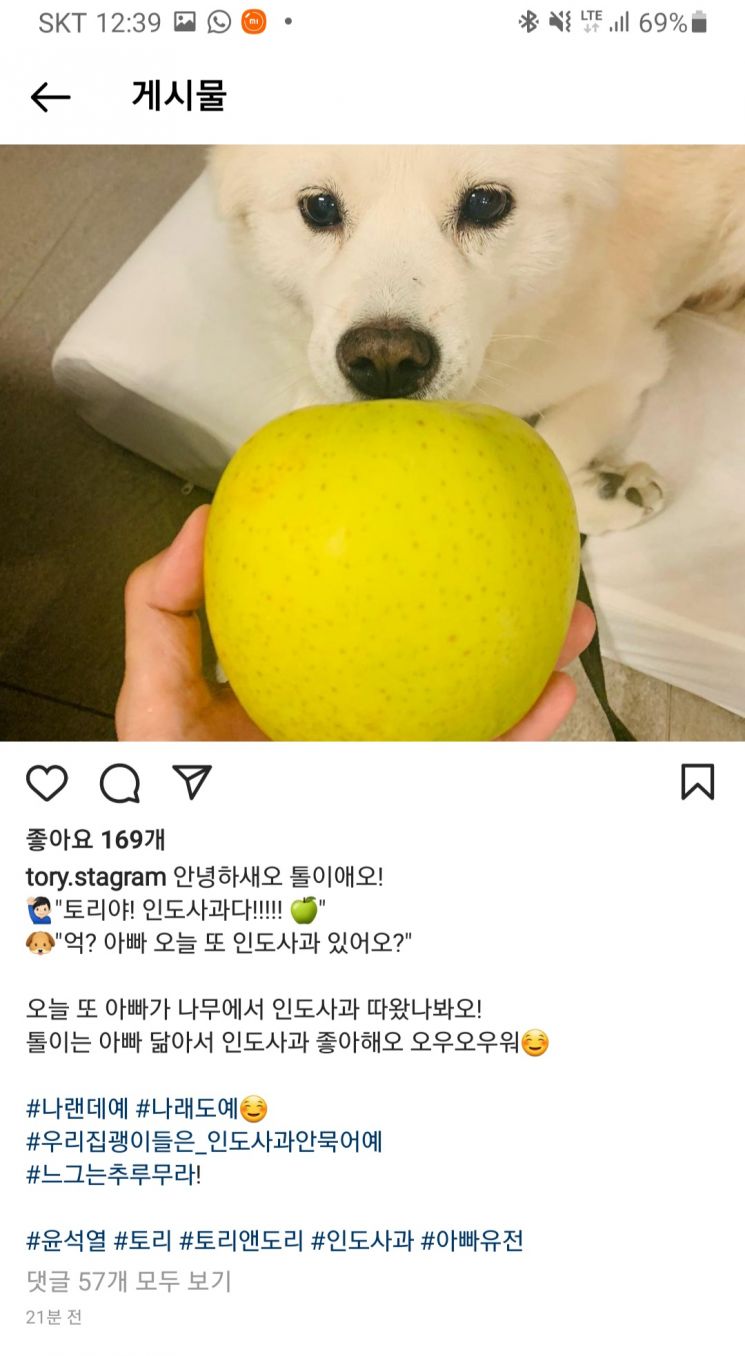 윤석열 전 검찰총장 반려견 토리의 인스타그램 캡처