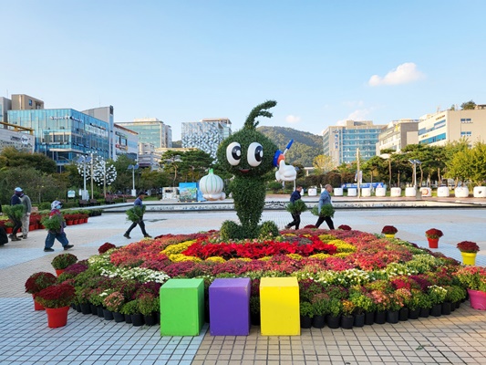 무안군, 남악 중앙공원·군청 광장에 국화 전시
