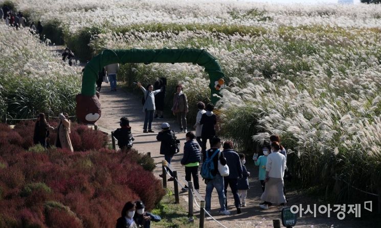 [포토] '가을 산책'