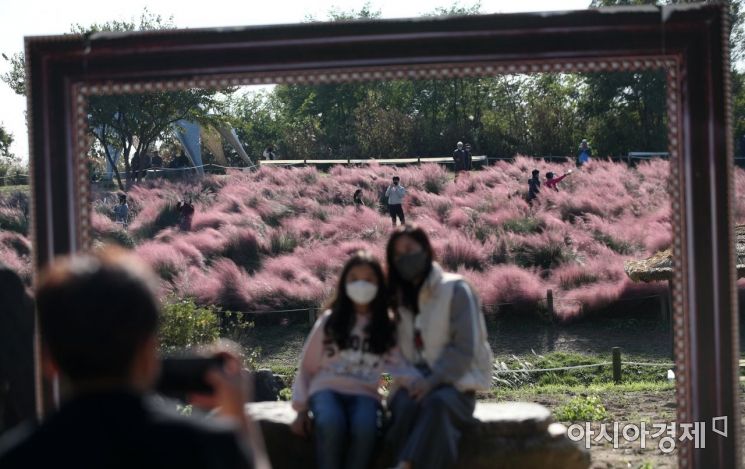 [포토] 가을 담는 시민들