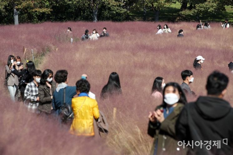 [포토]핑크에 물든 올림픽공원