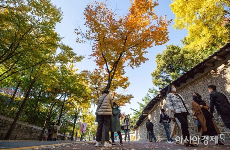 [포토]단풍 물들어가는 덕수궁길
