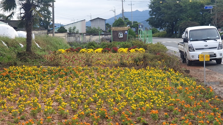 군동면 오산마을 진입로에 조성된 꽃밭 ⓒ 아시아경제