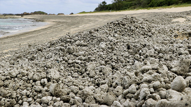 日, 해변 덮친 돌덩이에 '비상'…1300km 거리 해저화산 분화로 생성