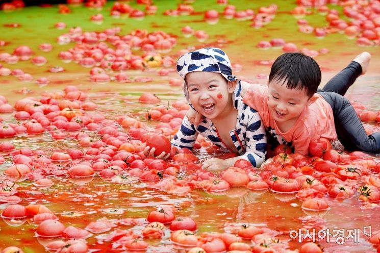 퇴촌 토마토 축제 [광주시]