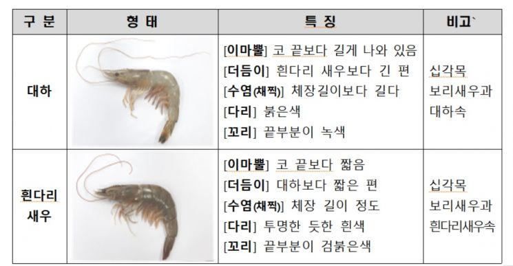 가을철 별미 '자연산 대하', '양식 흰다리새우'와 혼동하지 않으려면…