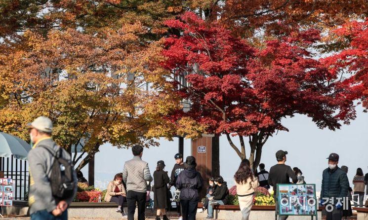 완연한 가을날씨가 이어지고 있는 1일 서울 중구 남산에 단풍이 물들고 있다./강진형 기자aymsdream@