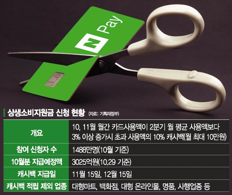 "간편결제 통한 대형마트 결제 어쩌나"…상생소비지원금 '구멍' 해결 골머리(종합)