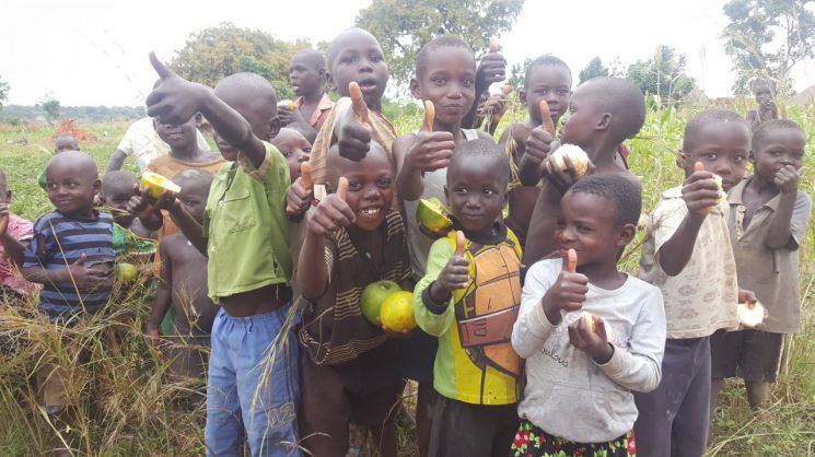 우간다 테소(Teso) 지역에서 해외농업기술개발사업(KOPIA)에 참여한 현지 농가의 어린이들이 수확한 오렌지를 맛보며 즐거워하고 있다. 현지 KOPIA 센터는 오렌지 생산성 저하의 원인인 오렌지 반점병 원인균(슈도서코스포라)을 진단하고 방제기술을 보급해 오렌지 생산량과 농가 소득에 크게 기여하는 성과를 거뒀다.