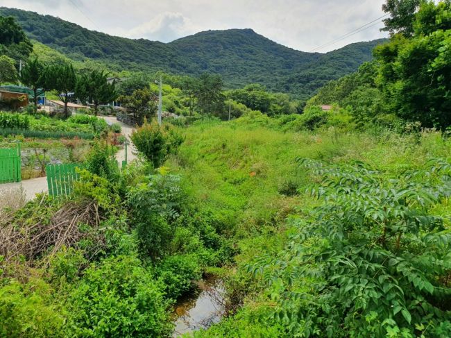 고창군 ‘2022년 산림유역관리 공모사업’ 선정